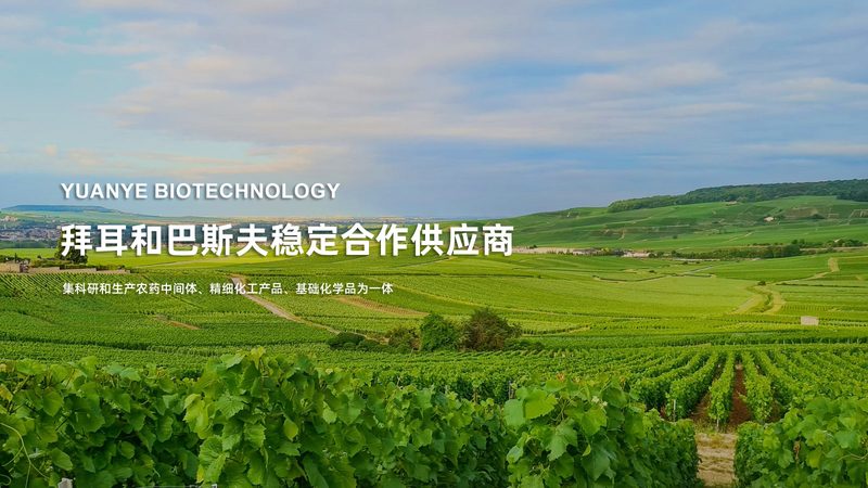 細胞培養(yǎng)基配方：研發(fā)背后的關(guān)鍵要素**
