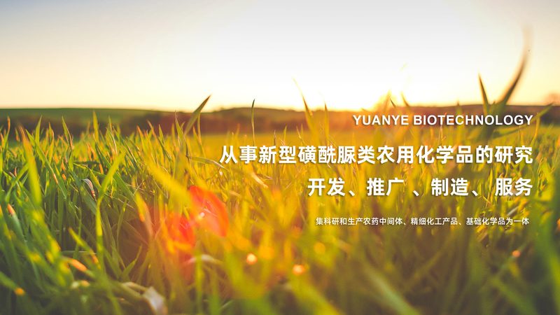 細胞培養(yǎng)基，不只是價格比較