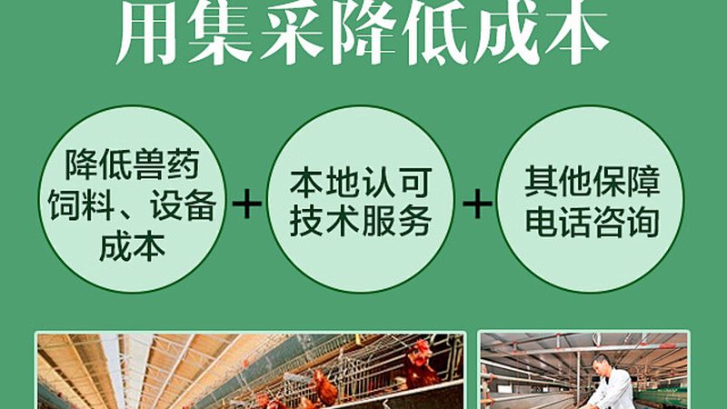 生物醫(yī)藥外包成本核算：如何科學(xué)評(píng)估與優(yōu)化