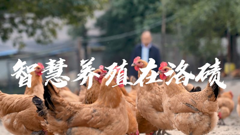 PCR實(shí)驗(yàn)室防污染設(shè)計(jì)的五大關(guān)鍵要點(diǎn)