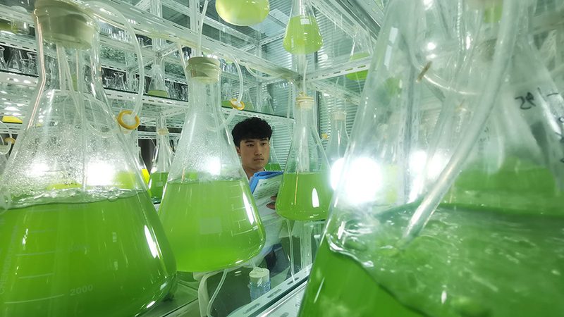 生物科技定制服務(wù)資質(zhì)要求解析：合規(guī)之路的必備要素